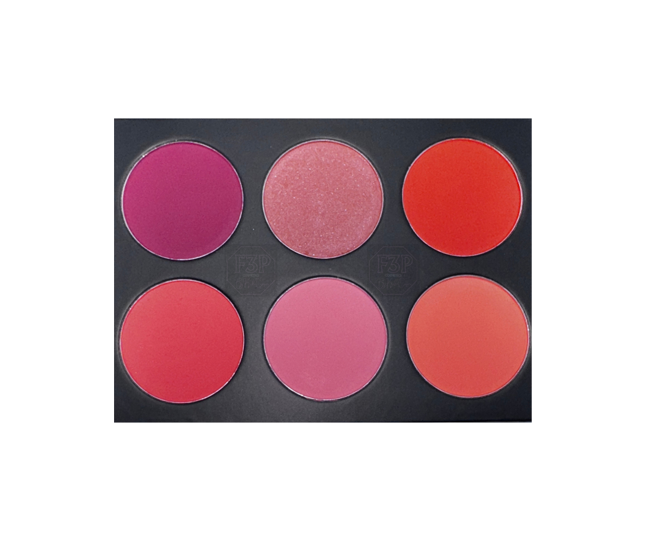 Who's Gonna Cheek Me? Blush Palette Vol.1