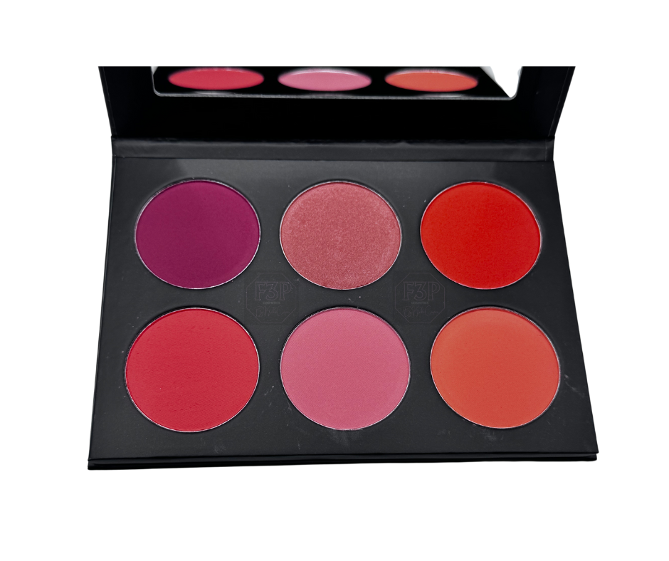 Who's Gonna Cheek Me? Blush Palette Vol.1